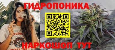 спиды Лесосибирск
