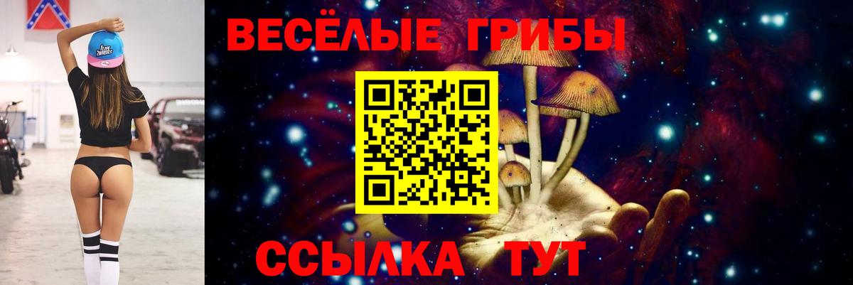 Фрязино  Галлюциногенные грибы прущие грибы  Вход с VPN 